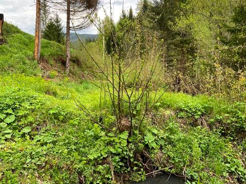 участок по адресу 