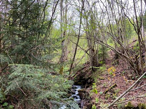 участок по адресу 