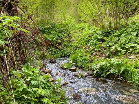 участок по адресу 