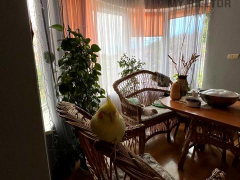 дом по адресу Центральна 42