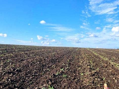 ділянка за адресою с. Глуховичі, 