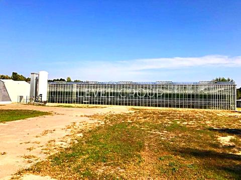 комерційна за адресою Шевченко, 3