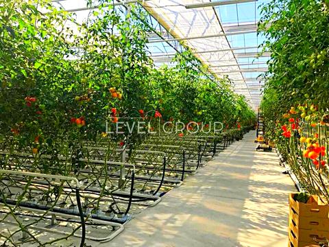 комерційна за адресою Шевченко, 3