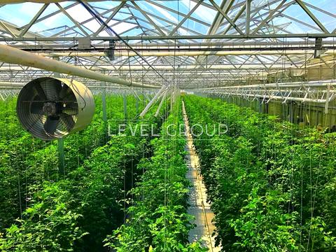 комерційна за адресою Шевченко, 3