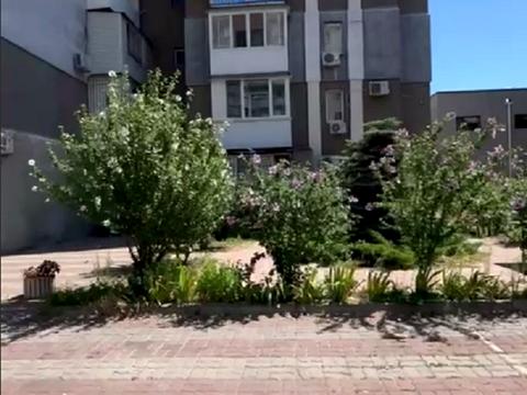 квартира за адресою Євгена Чикаленка вул., 44