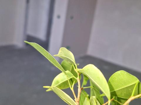 будинок за адресою Шевченка, 74