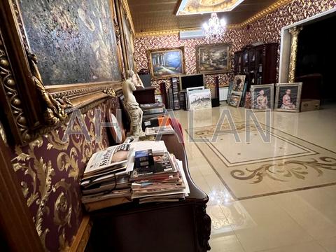 комерційна за адресою Євгена Чикаленка вул. (Пушкінська), 32