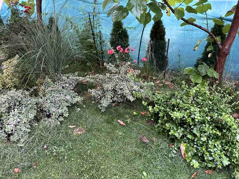 будинок за адресою с. Баранинці, Княгині Ольги