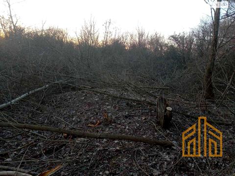 участок по адресу Тюльпанова