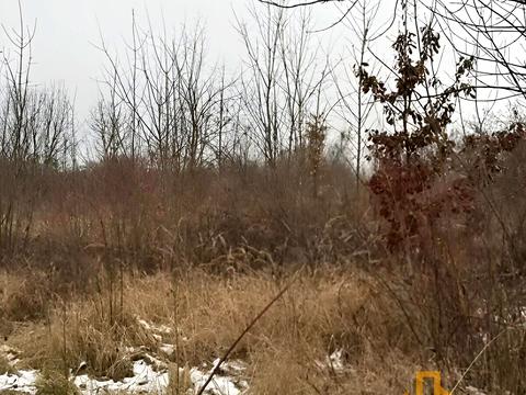 участок по адресу Тюльпанова