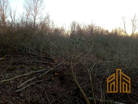 участок по адресу Тюльпанова