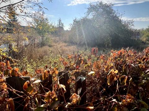 участок по адресу Яблоньская ул. (Кирова), 145