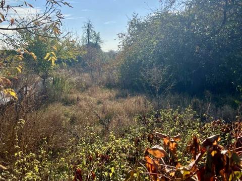 участок по адресу Яблоньская ул. (Кирова), 145