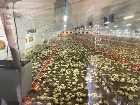 комерційна за адресою В'ячеслава Чорновола вул., 15