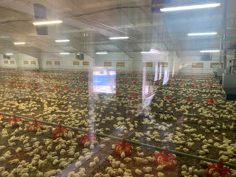 комерційна за адресою В'ячеслава Чорновола вул., 15