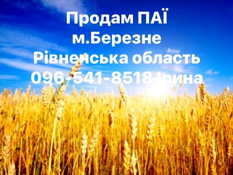 ділянка за адресою Березне, 