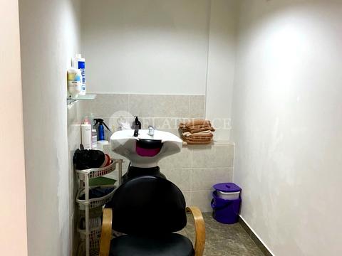 коммерческая по адресу с. Лиманка, Левитана ул., 15/4