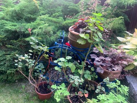 будинок за адресою Артилерійська вул. (Чиркова), 10