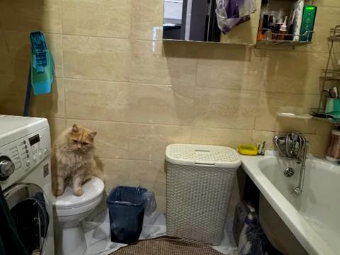 будинок за адресою Дорожня