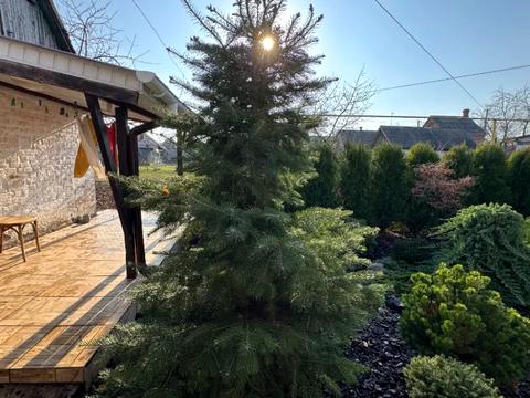 будинок за адресою Решкутянська, 46