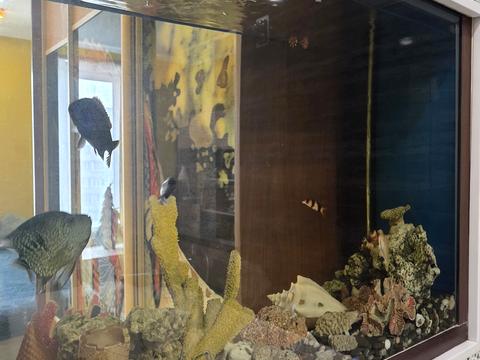 квартира за адресою Юлії Здановської вул. (Ломоносова), 60-А