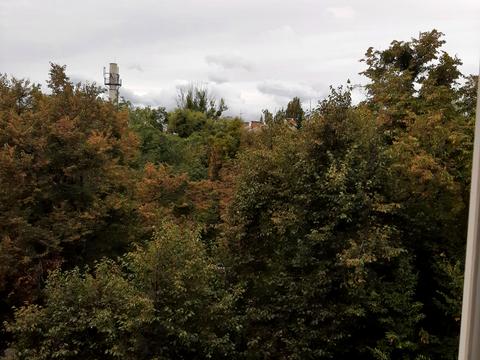 квартира по адресу Рене Декарта ул. (Кулібіна), 4/2