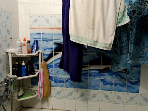 квартира по адресу Ревуцкого ул., 17