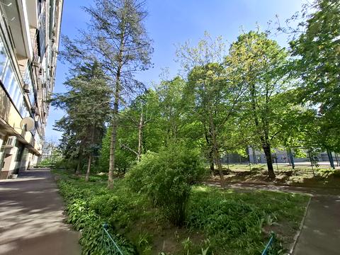 квартира по адресу Виноградный пер., 4