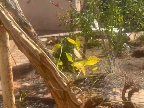 дом по адресу линия 8-го Марта 1-ая ул.