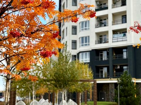 комерційна за адресою Ольги Кобилянської вул. (Достоєвського), 1-В/7