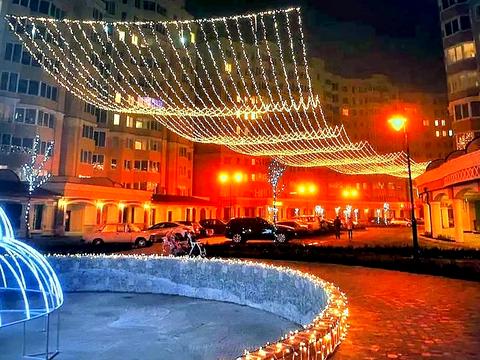 квартира за адресою с. Софіївська борщагівка, Миру вул., 36