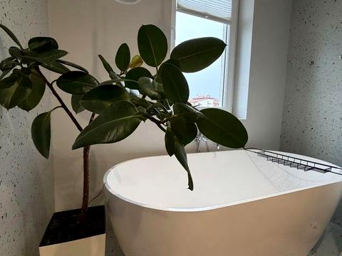 квартира за адресою Пасічна вул., 169в