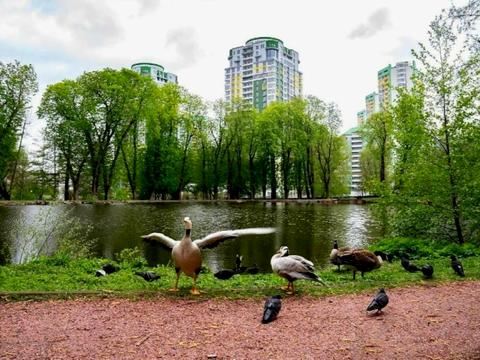 коммерческая по адресу Вышгородская ул., 45-Г