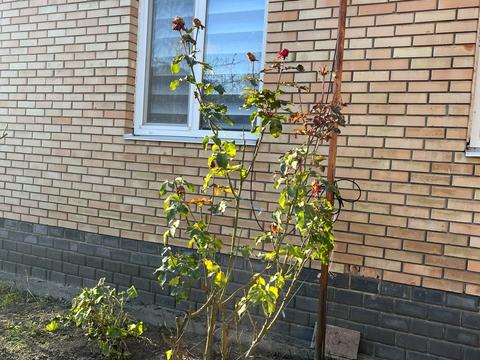 будинок за адресою Костянтина Ареф'єва вул., 18