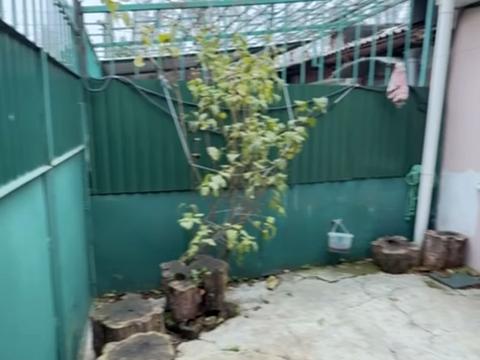 квартира по адресу Разумовская ул., 17