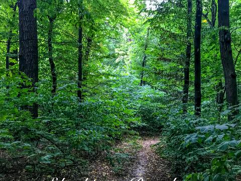 будинок за адресою Метрологічна вул.