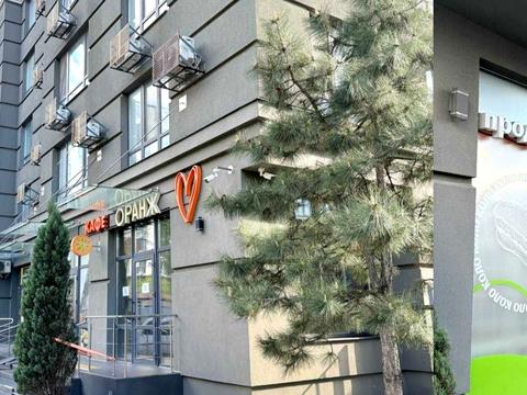 квартира по адресу Камянская ул. (Днепродзержинская), 6