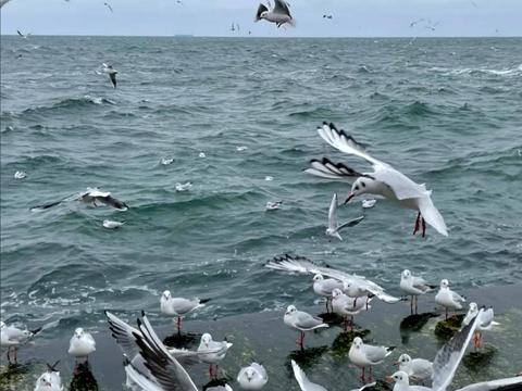 квартира за адресою Обсерваторний пров., 2/6