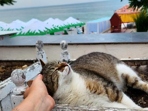 квартира за адресою Обсерваторний пров., 2/6