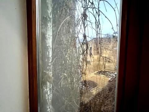 квартира по адресу Набережно-Крещатицкая ул., 7-В