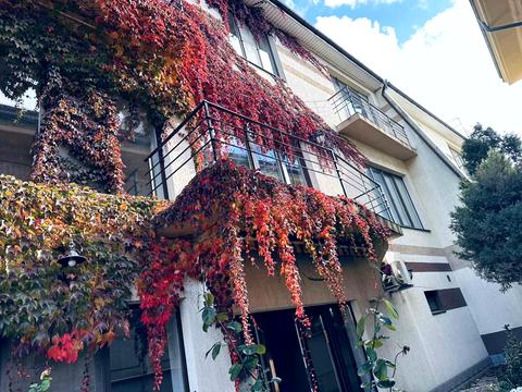 дом по адресу Бернардацци ул. (Красных Зорь), 12