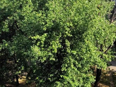 квартира по адресу Верховной Рады бульв., 19