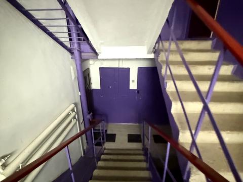 квартира по адресу Зеленая ул., 51