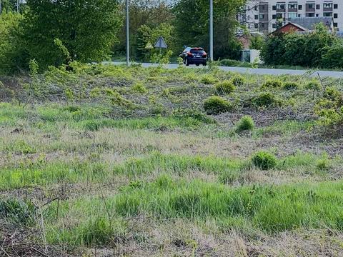 ділянка за адресою 