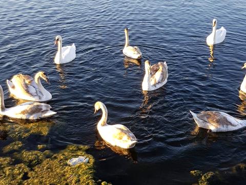 квартира за адресою Ювілейна вул., (Будинок 3)