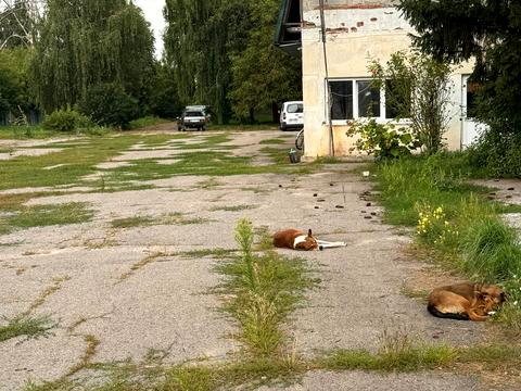 коммерческая по адресу Соборна, 1