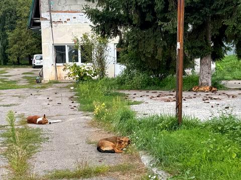 коммерческая по адресу Соборна, 1