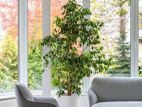 будинок за адресою Володимира Самійленка вул. (), 18