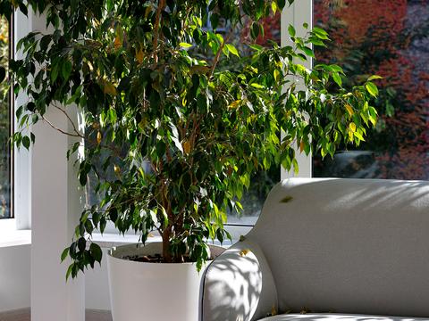 будинок за адресою Володимира Самійленка вул. (), 18