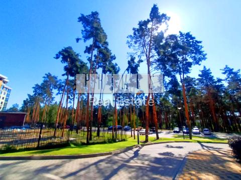 комерційна за адресою Прорізна, 1